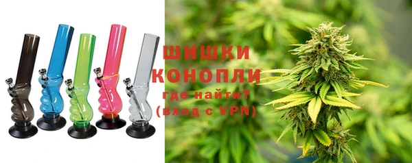 бошки Алексин