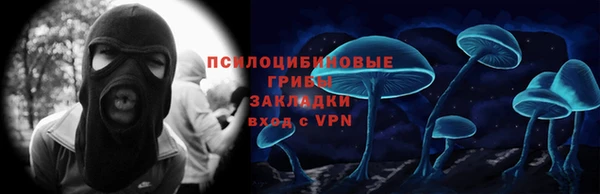 бошки Алексин