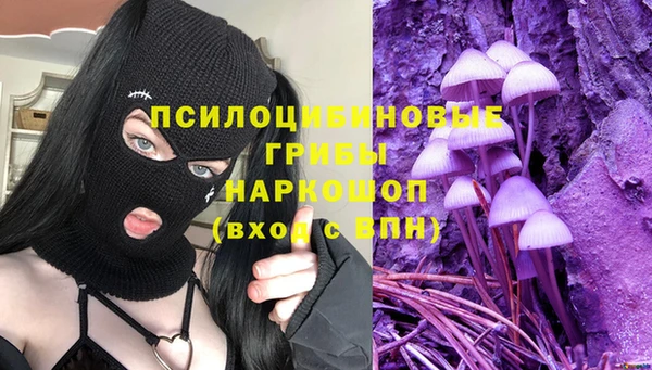 бошки Нея