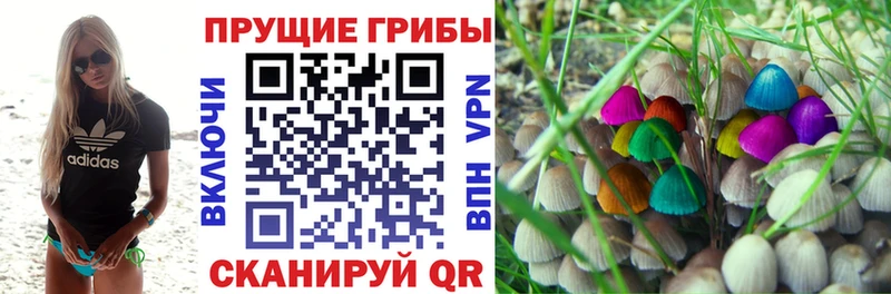 Псилоцибиновые грибы GOLDEN TEACHER Сорочинск